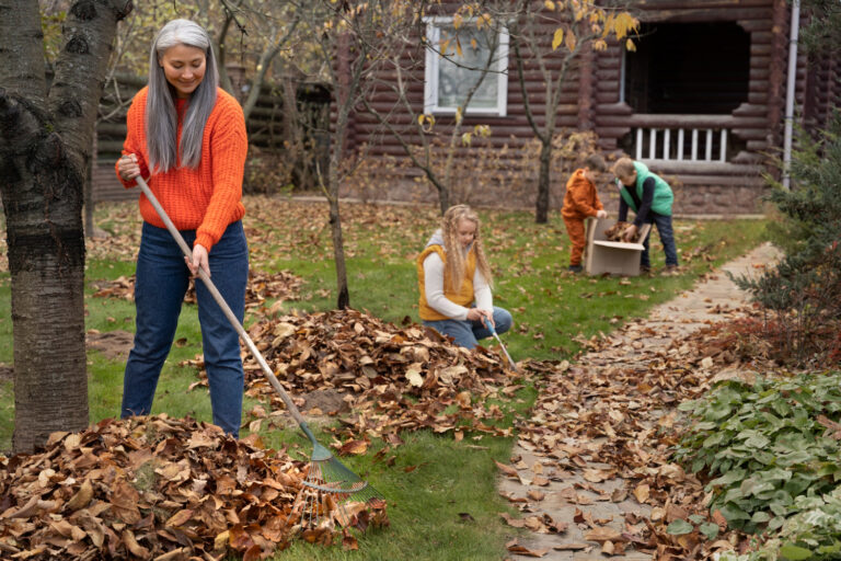 Leaf Cleanup