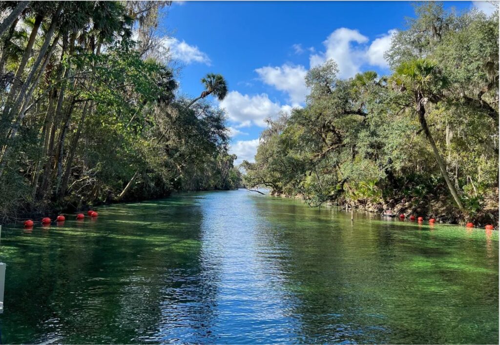 citrus springs florida