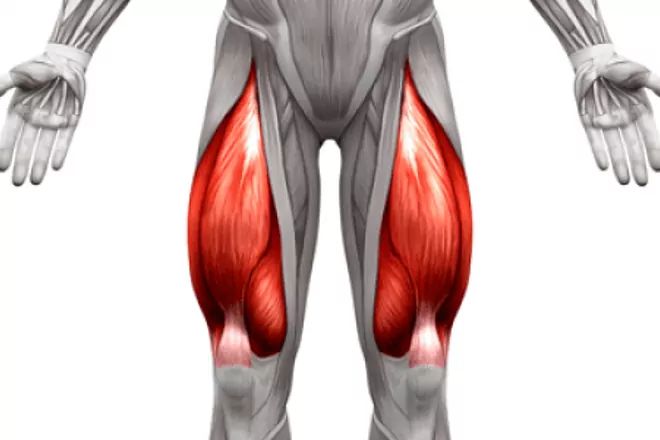 cuadriceps