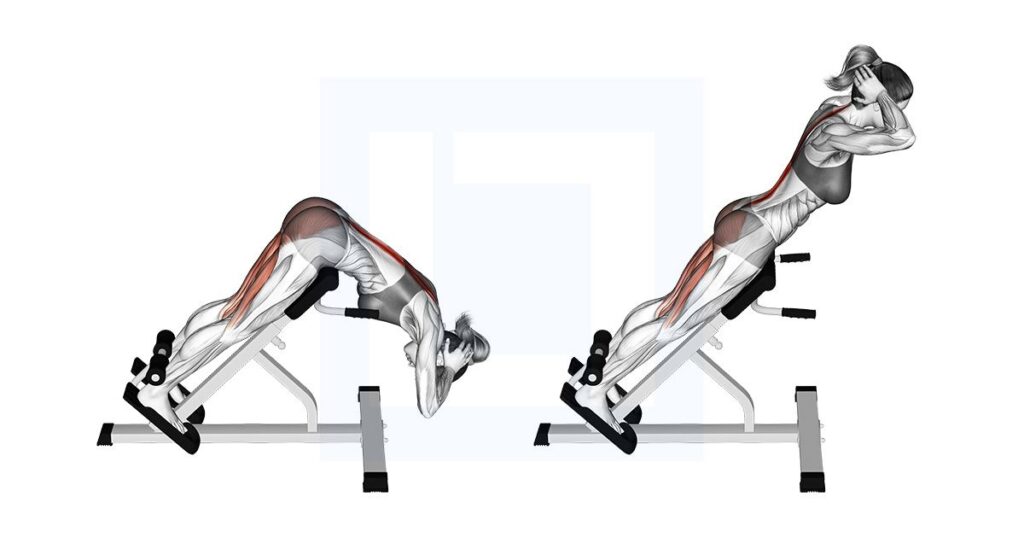 hyperextension exercise