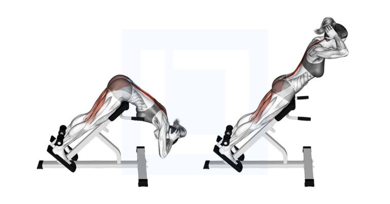 hyperextension exercise