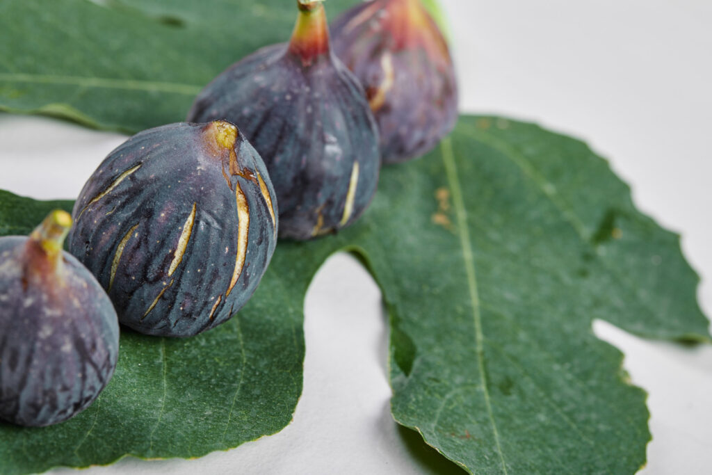 italian fig crop loss