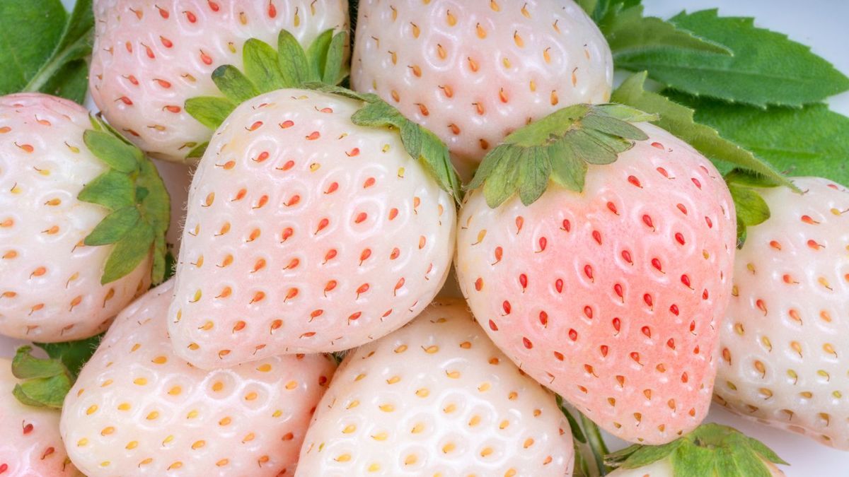 pineberries
