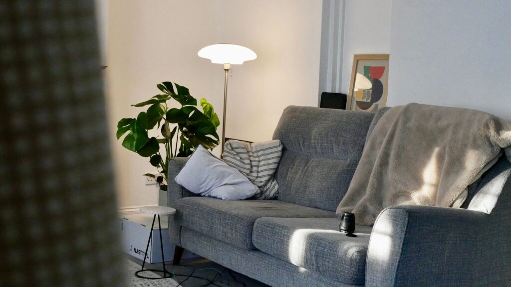 A cozy living room featuring a grey sofa, floor lamp, and indoor plant bathed in morning sun.