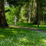 A solitary walk through a lush green forest pathway during summer, surrounded by nature's beauty.