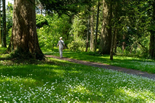 Wellbeing Activities: Simple Ideas To Feel Better Every Day